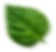 footer-shape2