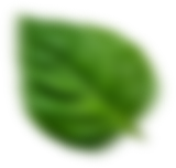 section-shape6