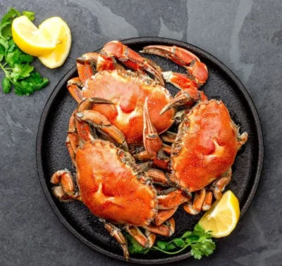 Crab-image