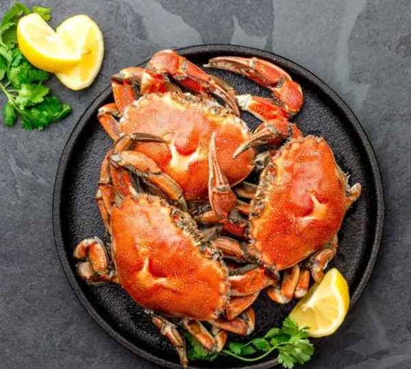 Crab-image
