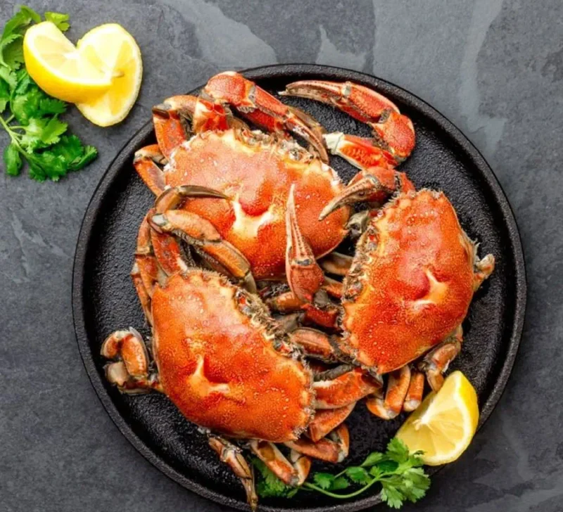 Crab-image